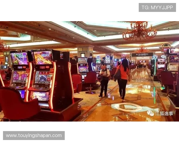 内港角子机娱乐场详细攻略帮助新手快速掌握游戏技巧实现高额赢利