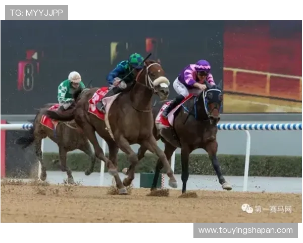 在hkjc官方网站查看赛马历史数据与分析报告，做出更明智的投注选择