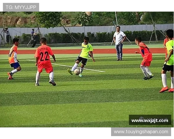 探索www.mk体育的多样化体育项目覆盖满足不同用户的个性化体育娱乐需求