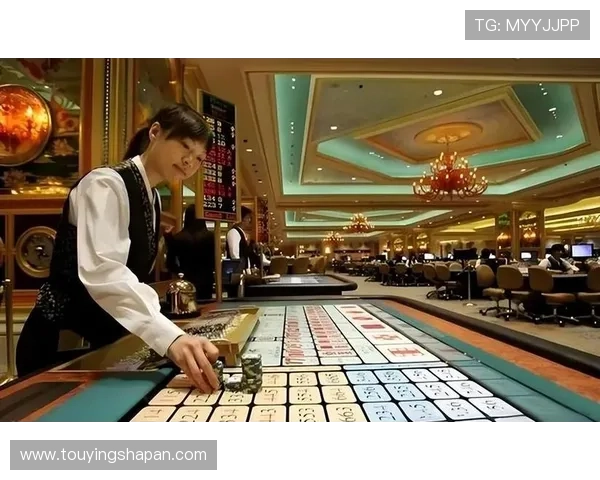 澳门六大赌牌的经营限制与监管措施，保障合法合规运营